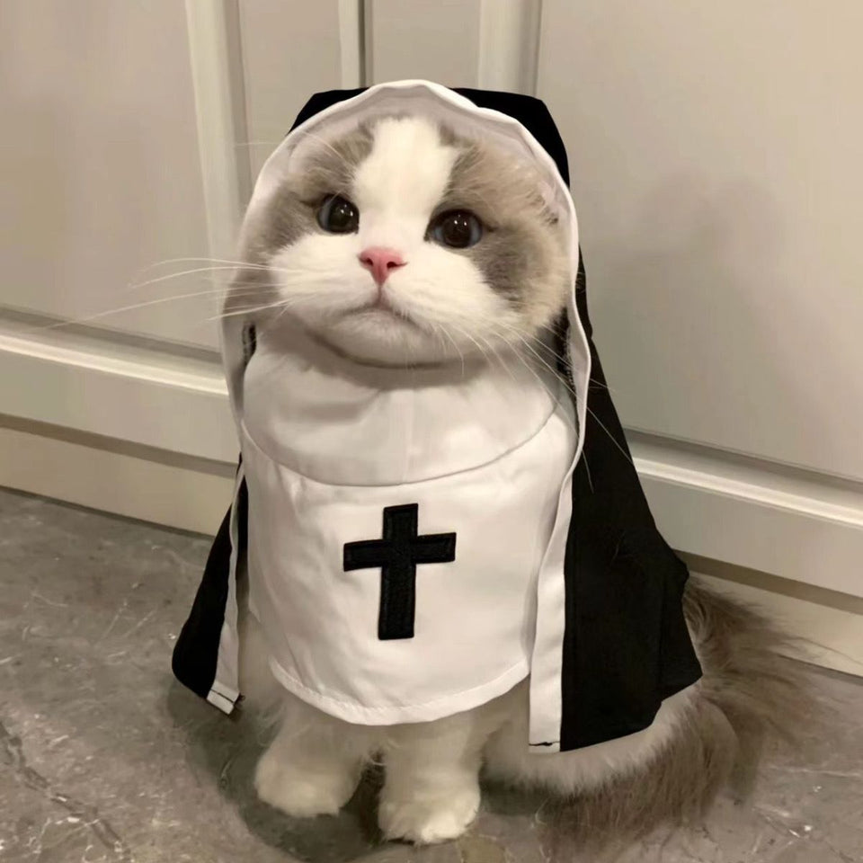 Halloween Drip