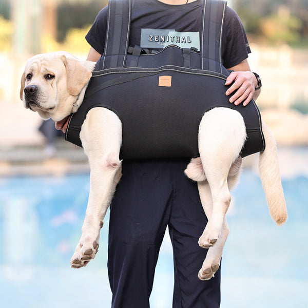 Medium And Large Dog Body Carrier