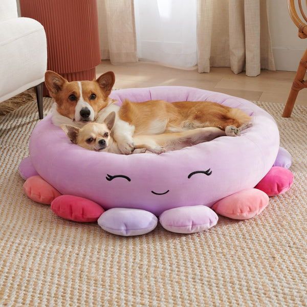 Soft Plush Bed