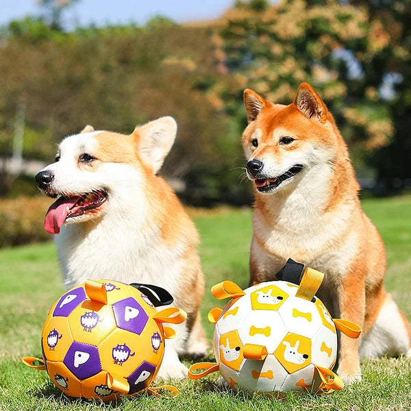 Dog Friendly Football