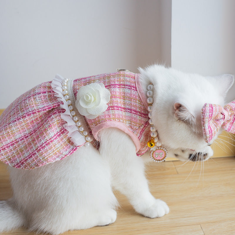 Cat Summer Outfit