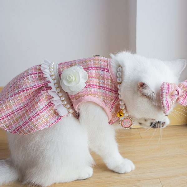 Cat Summer Outfit