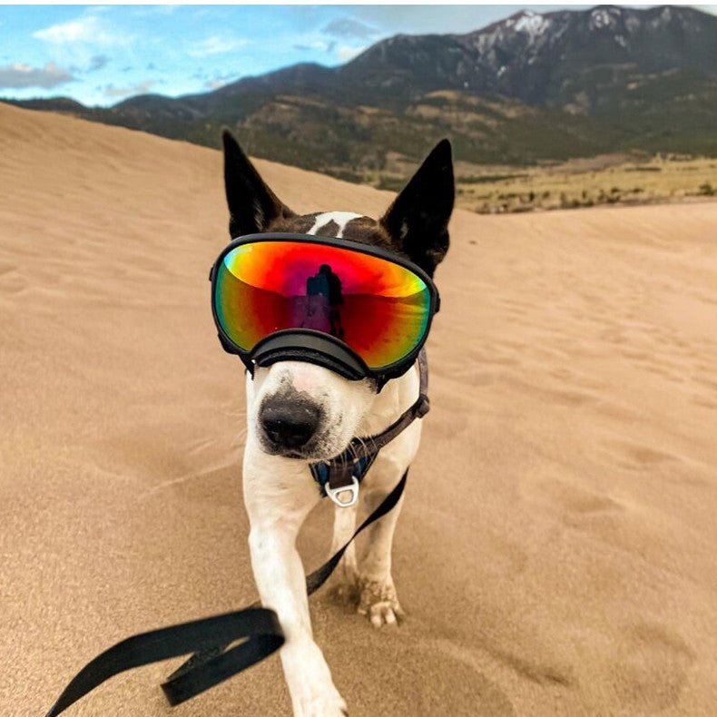 Dog Skiing Goggles