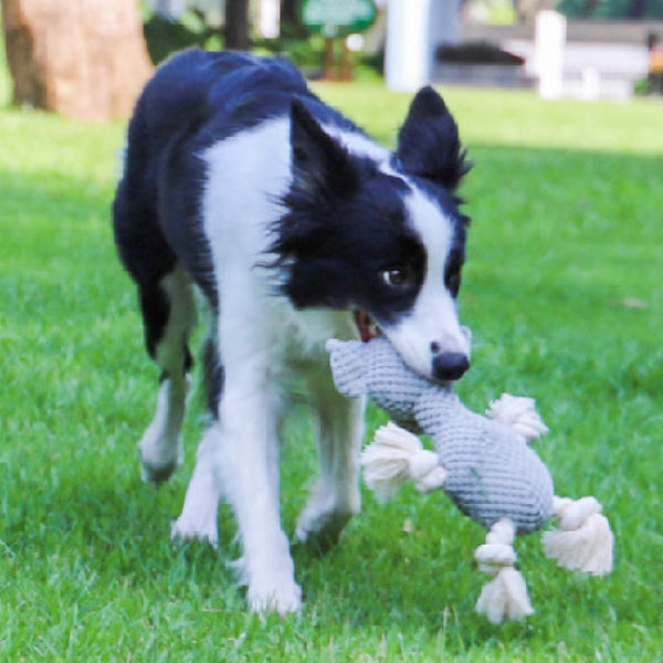 Bite-resistant Dog Toy