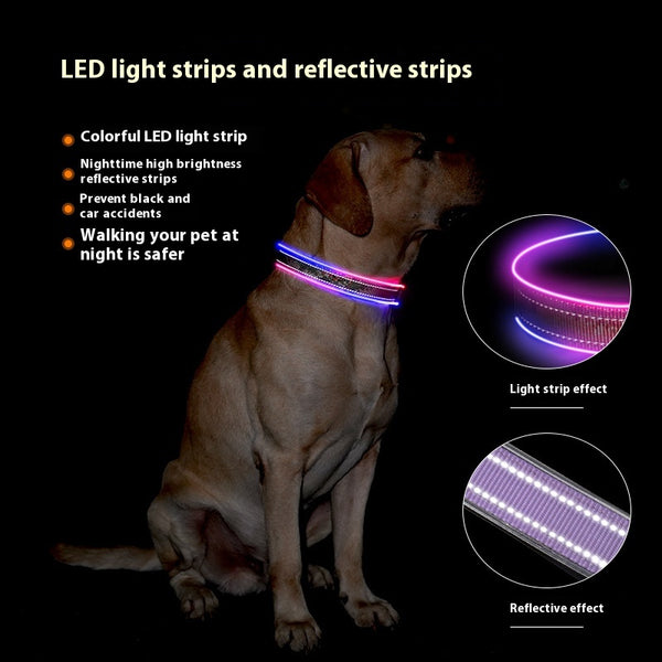 LED type C Dog Collar